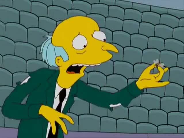 Imagem The Burns and the Bees